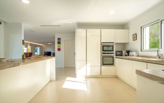 Orquidea 34 - Photo 5