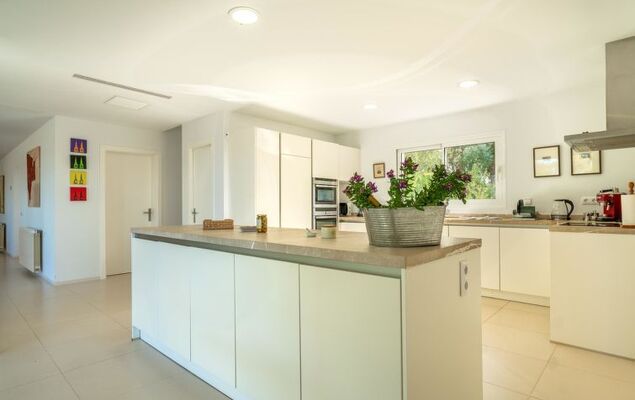 Orquidea 34 - Photo 9