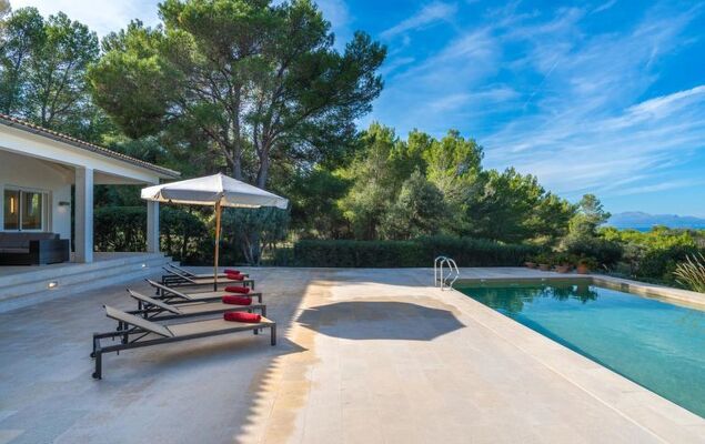 Orquidea 34 - Photo 37