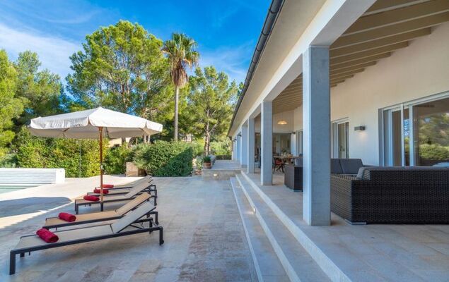 Orquidea 34 - Photo 38