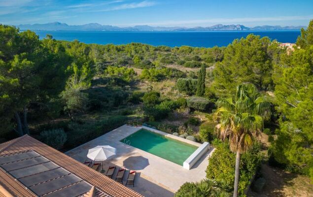 Orquidea 34 - Photo 42