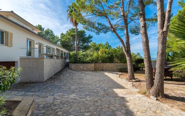 Orquidea 34 - Photo 45