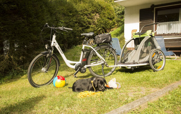 Reinskopf - Photo 22