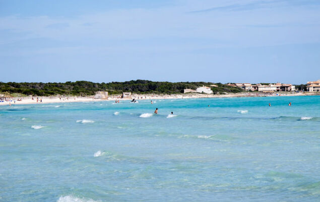 Villa Sa Rapita - Photo 23