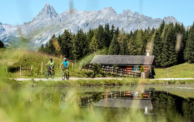 Helmreich - Photo 26