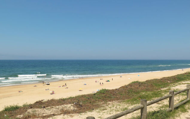 Les Chênes - Photo 29