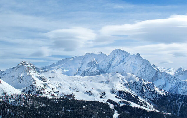 Cesa Galadriel - Photo 67