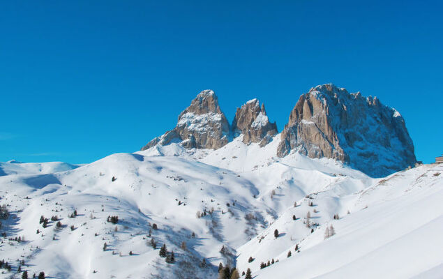 Cesa Galadriel - Photo 69