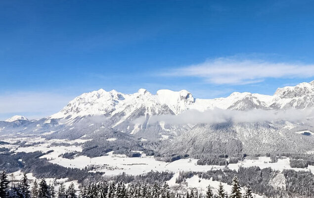 Bergerlodge - Photo 23