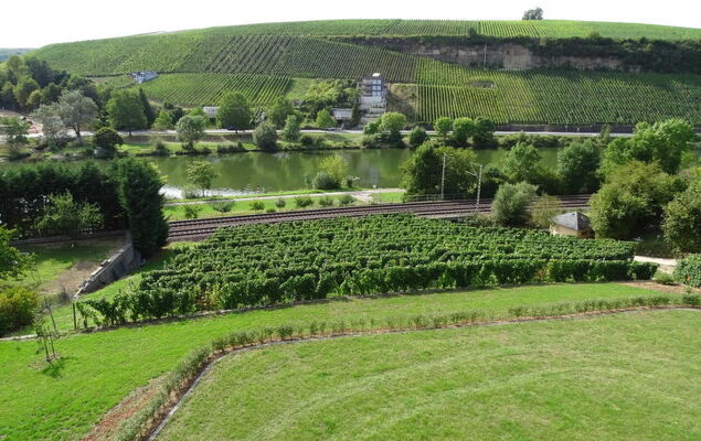 Zum Trichter - Photo 24